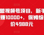 猎人联盟视频号项目,新手0基础轻松月赚10000+,保姆级教程原价4988元-虚拟资源库