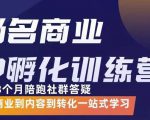 杨名商业IP孵化训练营,从商业到内容到转化一站式学 价值5980元-虚拟资源库