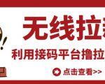 最新接码无限拉新项目，利用接码平台赚拉新平台差价，轻松日赚500+-虚拟资源库