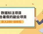 副业赚钱:人工智能数据标注项目,简单易上手,小白也能日入200+-虚拟资源库