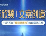 李欣频|文案创造课,0基础可报10天写出“看到就想转”的自媒体文案-虚拟资源库