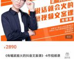 《有嘴能就火的抖文音案课》第八十期升级版,让会不写文案的人,写出一可篇传播的完文整案-虚拟资源库