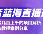 抖音最新蓝海直播玩法,3分钟赚30元,一天轻松1000+,只要你去直播就行【详细玩法教程】-虚拟资源库