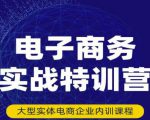 民赛电气内部出品:电子商务实战特训营,全方位带你入门电商,308种方式玩转电商-虚拟资源库