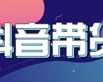 抖音直播带货入门必学教程,教快速上手抖音直播带货-虚拟资源库