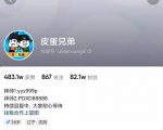沙雕动画-皮蛋兄弟·熊猫人动画教学制作,全套素材文案教程分享!-虚拟资源库