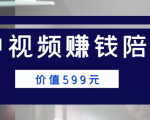 中视频赚钱陪跑,卖中视频账户赚钱收益陪跑项目(价值599元)-虚拟资源库