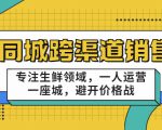 同城跨渠道销售,专注生鲜领域,一人运营一座城,避开价格战-虚拟资源库