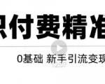 玩转知识付费项目精准引流,给你1套课多账号操作落地方案!-虚拟资源库