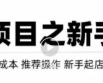 虚拟项目快速起店模式，0成本打造月入几万虚拟店铺！-虚拟资源库