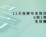 11天视频号变现训练营，从0到1打造变现赚钱系统（价值398元）-虚拟资源库