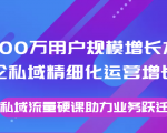8000万用户规模增长方法论私域精细化运营增长，私域流量硬课助力业务跃迁-虚拟资源库