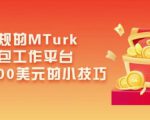 利用正规的MTurk微型众包工作平台,月赚1100美元的小技巧-虚拟资源库