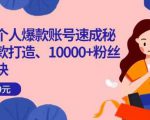 小红书个人爆款账号速成秘籍，爆款打造、10000+粉丝引流秘诀-虚拟资源库