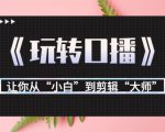 月营业额700万+大佬教您《玩转口播》让你从“小白”到剪辑“大师”-虚拟资源库