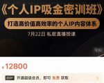 个人IP吸金密训班,打造高价值高效率的个人IP内容体系(价值12800元)-虚拟资源库
