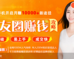 全网千万人气导师亲授:零基础/易上手的朋友圈赚钱攻略,让你轻松月入过万-虚拟资源库