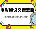 电影解说文案思路课，让你快速掌握文案编写的技巧（3节视频课程）-虚拟资源库