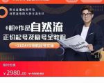 0粉0作品自然流正价起号及稳号全教程,专业自然流起号机构流程化教学(价值2980元)-虚拟资源库