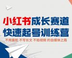 小红书成长赛道快速起号训练营，不露脸不写长文不拍视频，0粉丝冷启动变现之路-虚拟资源库