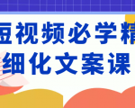 短视频必学精细化文案课,提升你的内容创作能力、升级迭代能力和变现力(价值333元)-虚拟资源库