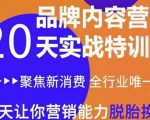 《内容营销实操特训营》20天让你营销能力脱胎换骨(价值3999)-虚拟资源库