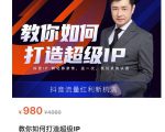 教你如何打造超级IP,抖音流量红利新机遇(价值980元)-虚拟资源库