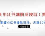 21天小红书涨粉变现营(第3期):带你掌握小红书爆款玩法,月赚10W+秘密-虚拟资源库