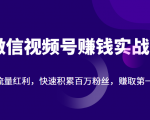 微信视频号赚钱实战:抓住流量红利,快速积累百万粉丝,赚取你的第一桶金-虚拟资源库