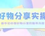 好物分享实操:新手如何做好物分享的账号内容,实操教学-虚拟资源库