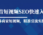 抖音短视频Seo搜索排名优化新手快速入门教程,实体商家短视频,精准引流实操课-虚拟资源库