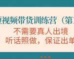 视频带货训练营,不需要真人出境,听话照做,保证出单(第11期)-虚拟资源库