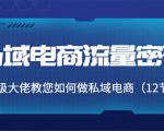 私域电商流量密码:千万级大佬教您如何做私域电商(12节课)-虚拟资源库