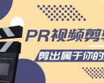 PR视频剪辑课：各种剪辑与视频特效玩法，剪出属于你的大片-虚拟资源库