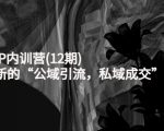 新媒体IP内训营(12期),一套全新的“公域引流,私域成交”IP打法,直接带走-虚拟资源库