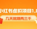 《小红书虚拟项目1.0》账号注册+养号+视频制作+引流+变现，几天就赚两三千-虚拟资源库