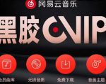 网易云音乐撸黑胶年卡及变现方法，收益可无限放大-虚拟资源库