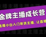 金牌主播成长营，一周从直播小白入门带货主播，让直播更简单-虚拟资源库