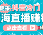 最新抖音冷门简单的蓝海直播赚钱玩法,流量大知道的人少,可做到全无人直播-虚拟资源库