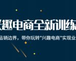 兴趣电商全新训练营:打破品销边界,带你玩转“兴趣电商“实现业务增长-虚拟资源库