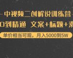 中视频二创解说训练营：从0到精通 文案+标题+素材、月入5000到5W-虚拟资源库