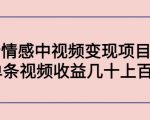 副业孵化营第5期：抖音情感中视频变现项目孵化 单条视频收益几十上百-虚拟资源库