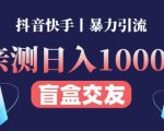 日收益1000+的交友盲盒副业丨有手就行的抖音快手暴力引流-虚拟资源库