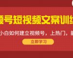 视频号短视频文案训练营:0基础小白如何建立视频号,上热门,能卖货!-虚拟资源库