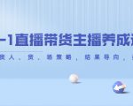 从0-1直播带货主播养成记,直播带货人、货、场策略,结果导向,数据说话-虚拟资源库