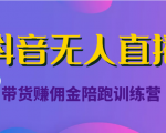 抖音无人直播带货赚佣金陪跑训练营(价值6980元)-虚拟资源库