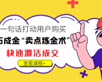 点石成金“卖点炼金术”一句话打动用户购买,快速激活成交!-虚拟资源库
