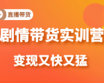 《剧情带货实训营》目前最好的直播带货方式,变起现来是又快又猛(价值980元)-虚拟资源库