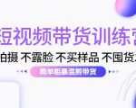 短视频带货训练营:不拍摄 不露脸 不买样品 不囤货发货 简单粗暴混剪带货(第三期)-虚拟资源库