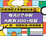 吃瓜项目之不要脸玩法，每天2小时，收益300+(附 快手美女号引流+吃瓜渠道)-虚拟资源库